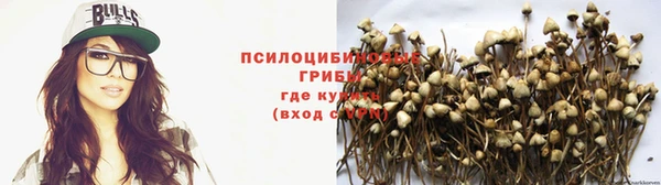 apvp Тавда