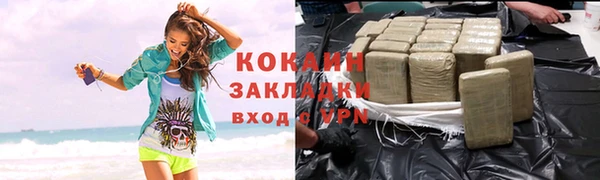 МДПВ Богородск