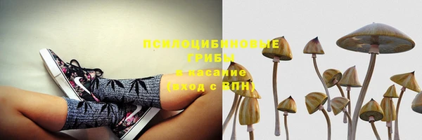 МДПВ Богородск