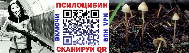 Галлюциногенные грибы Magic Shrooms  Краснозаводск 